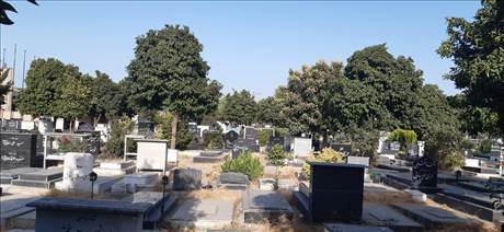 آرامگاه موتمدی